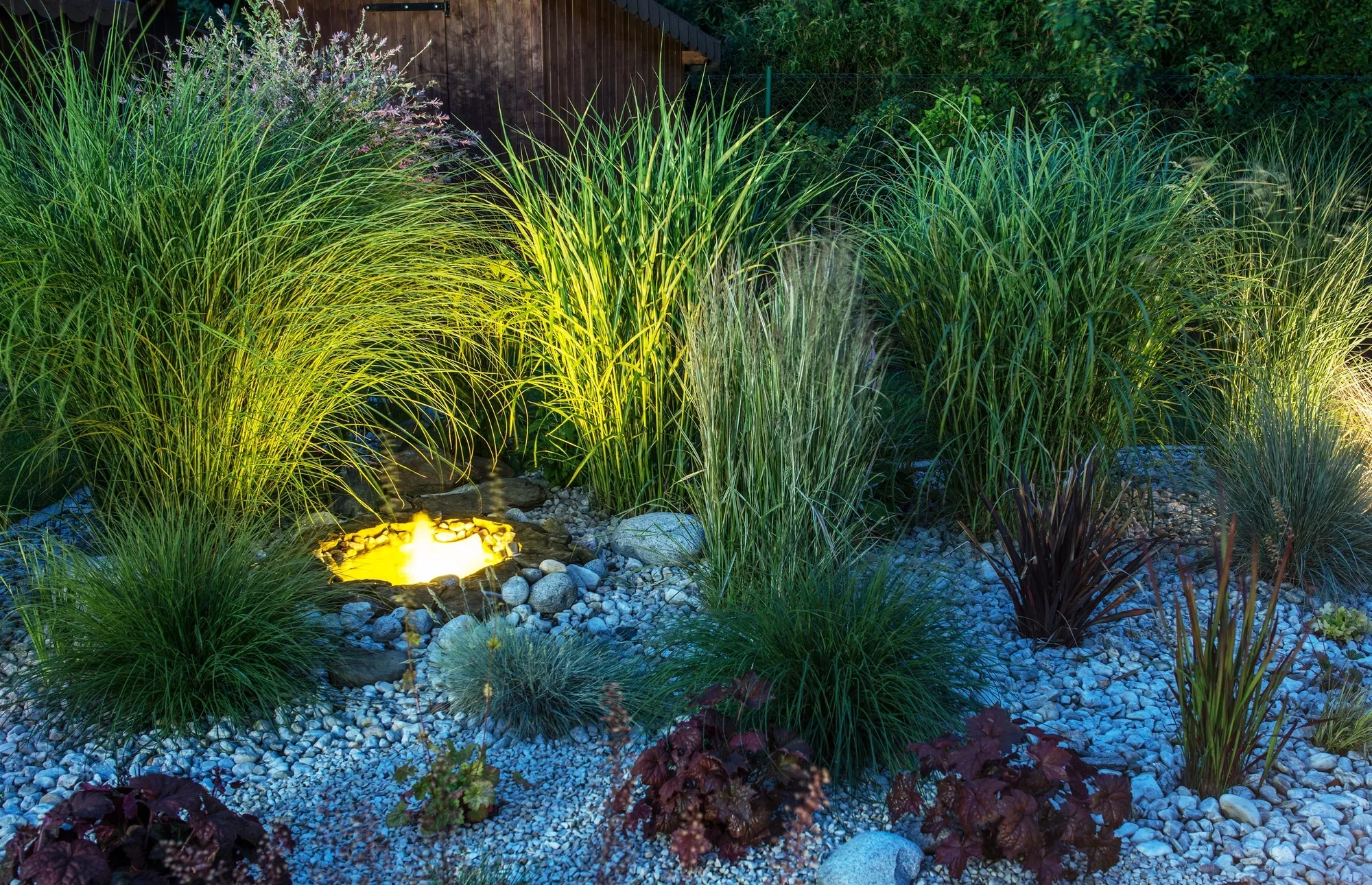 Dense ornamental grasses garden bed with warm uplighting and a small glowing water feature at night