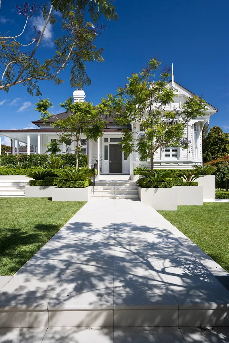 White Victorian-style weatherboard home framed by a jacaranda tree with structural garden planting either side of a paved path