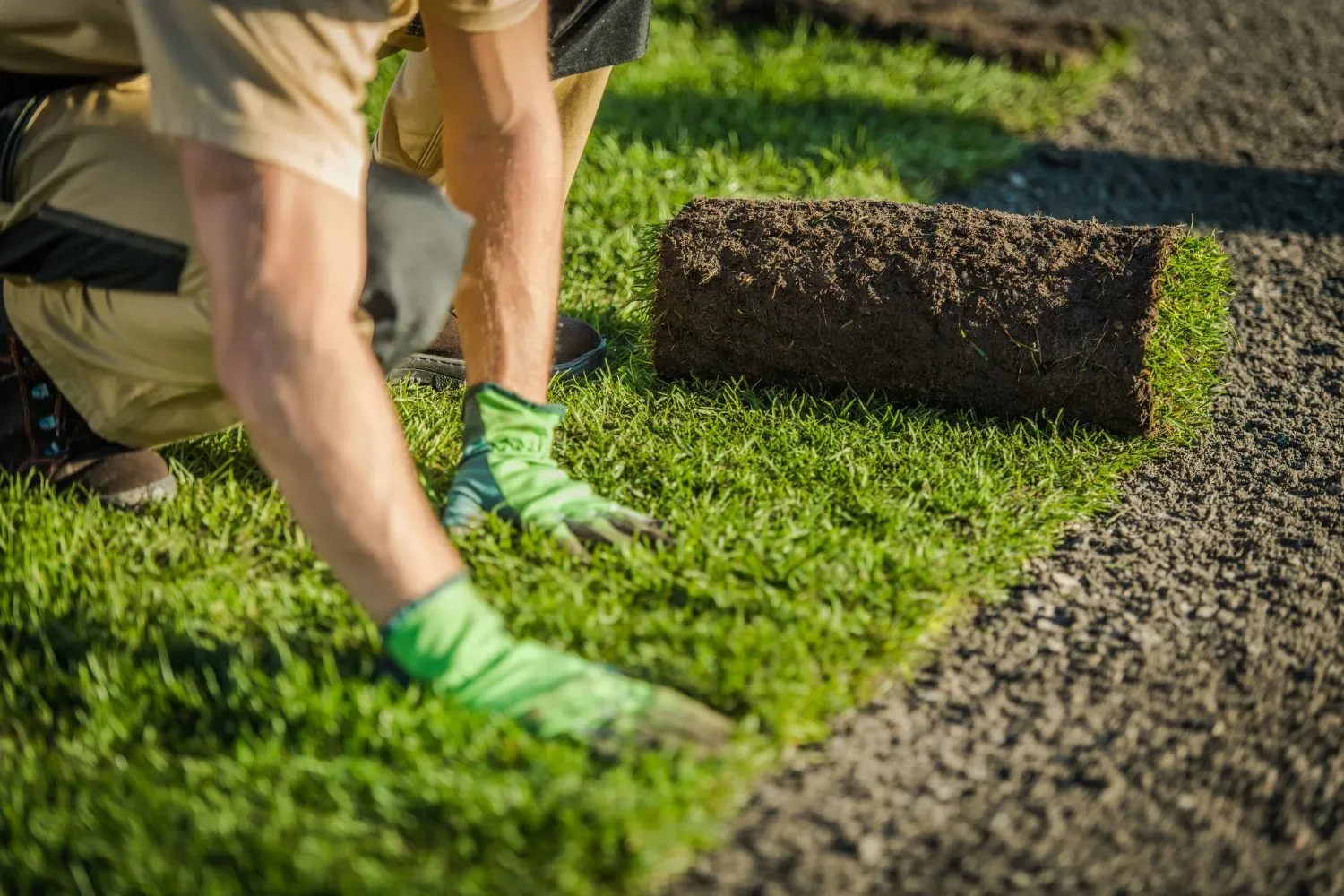 Worker laying fresh turf beside a paved path